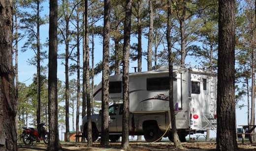 favorite-campground-virginia-tall-pines-harbor