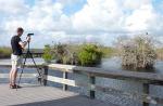 Everglades National Park Anhinga Trail bridge