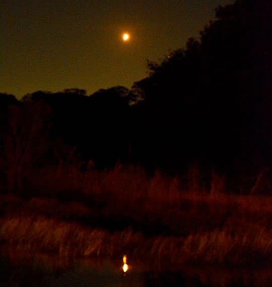 NASA-Rocket-Launch