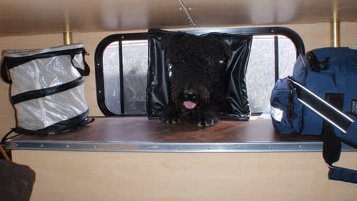 Ultimate-Off-Road-Camper-dog-boot