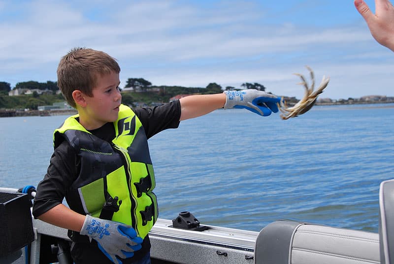 Throwing illegal crabs back in water