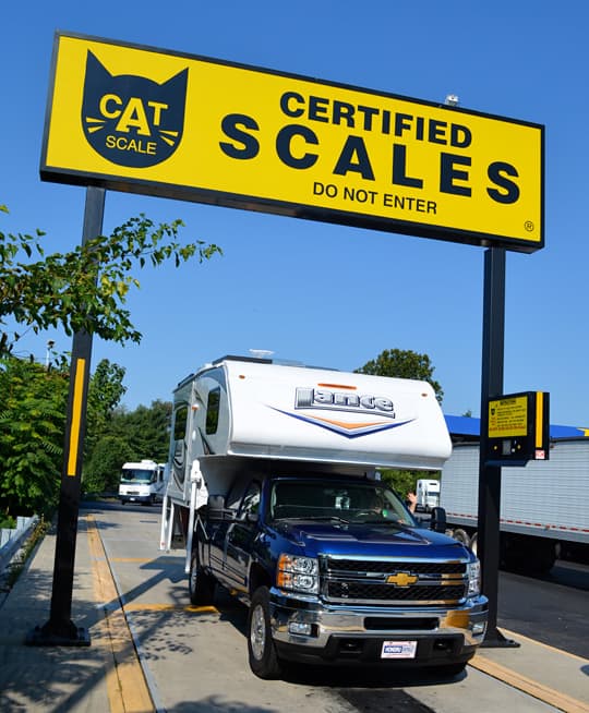 measure-cat-scale