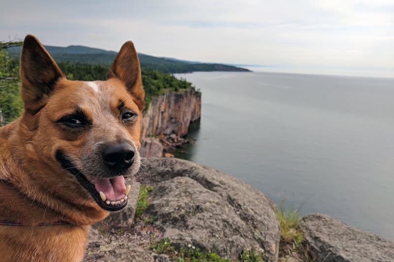 View Of Shovel Point From Palisade Head